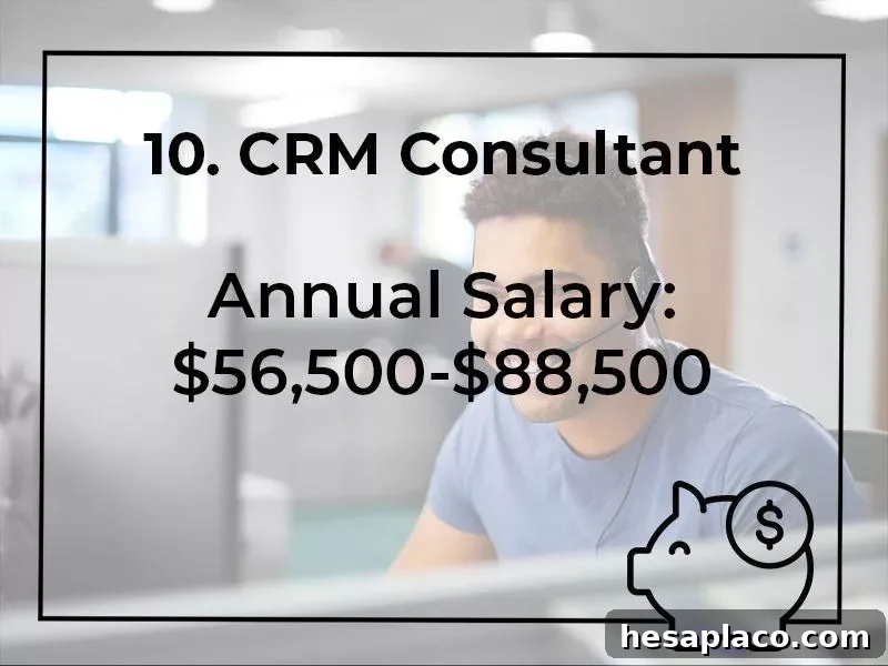 15 Highest Paying Consumer Services Jobs Ranked 7 CRM Consultant