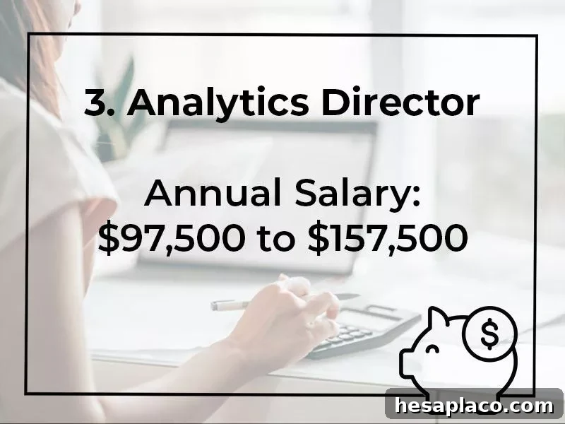 Top 15 Highest-Paying Finance Jobs, Ranked 14 Analytics Director