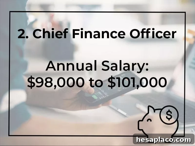 Top 15 Highest-Paying Finance Jobs, Ranked 15 Chief Finance Officer