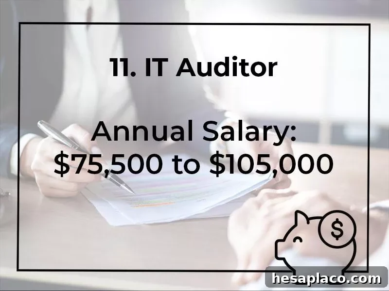 Top 15 Highest-Paying Finance Jobs, Ranked 6 IT Auditor