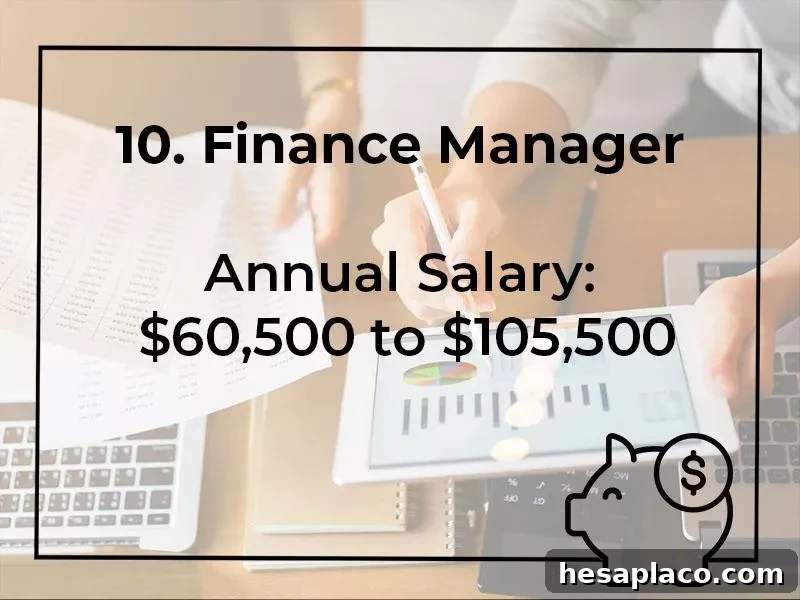 Finance Manager