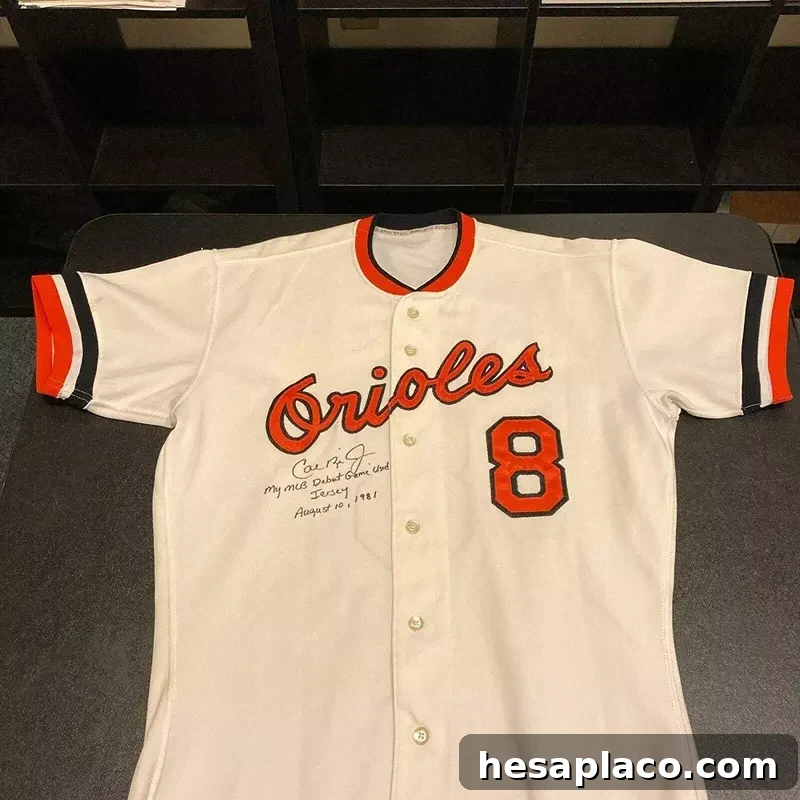 Cal Ripken collectible jersey