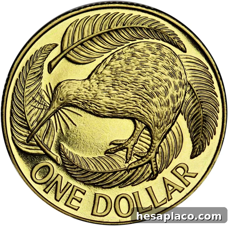 New Zealand dollar coin
