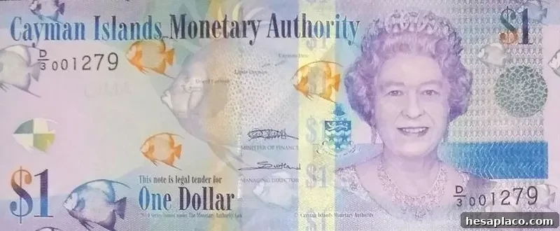 Cayman Islands dollar bill