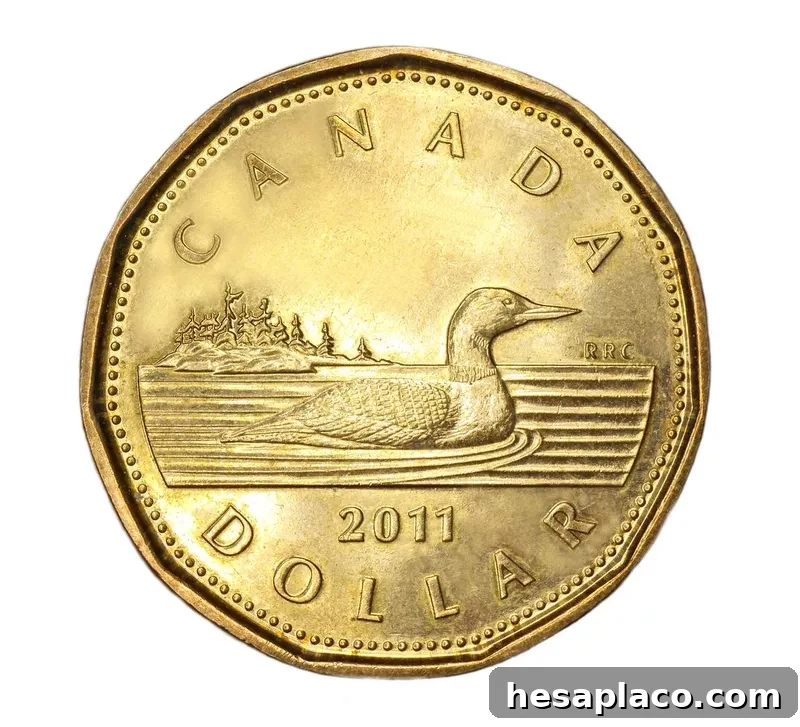 Canadian dollar coin