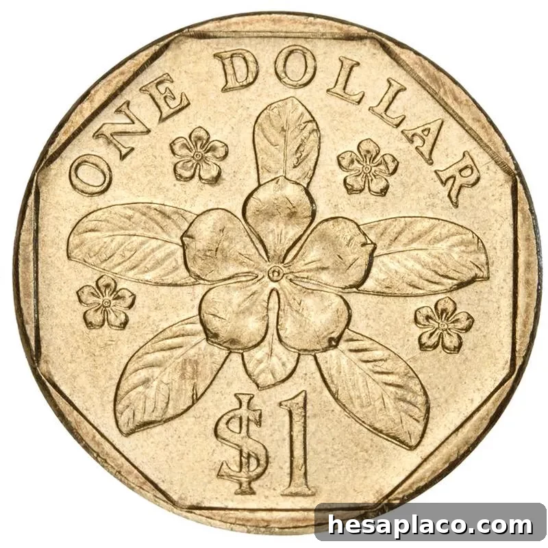Singapore dollar