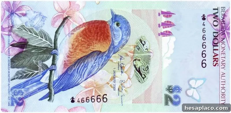 Bermudian $2 bill