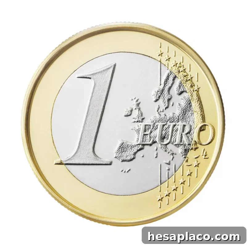 Euro coin