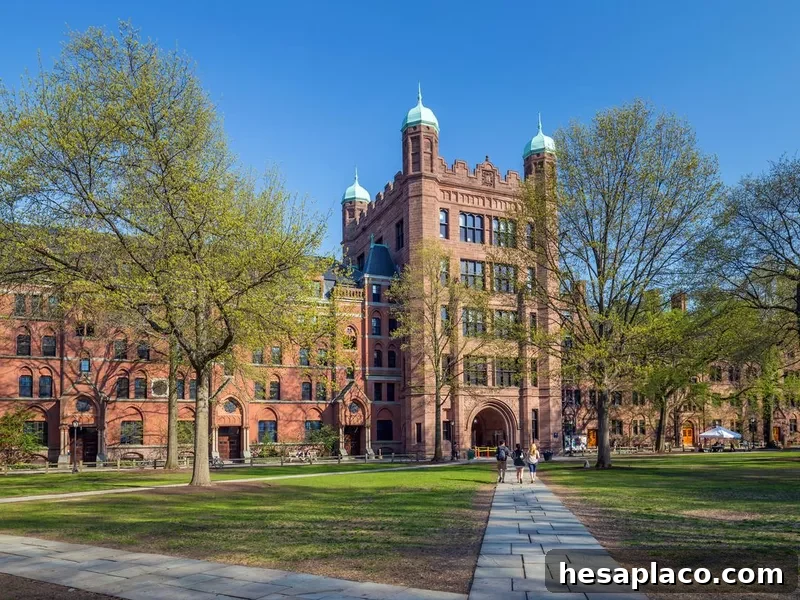 Yale university buildings
