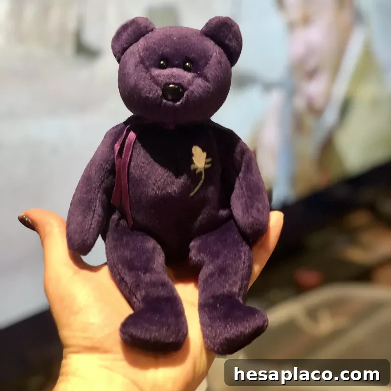 'Princess the Bear'