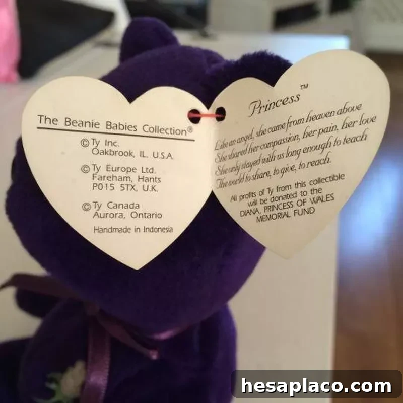 The Princess Bear's tag