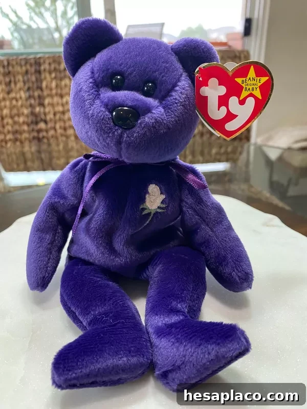 Princess Bear