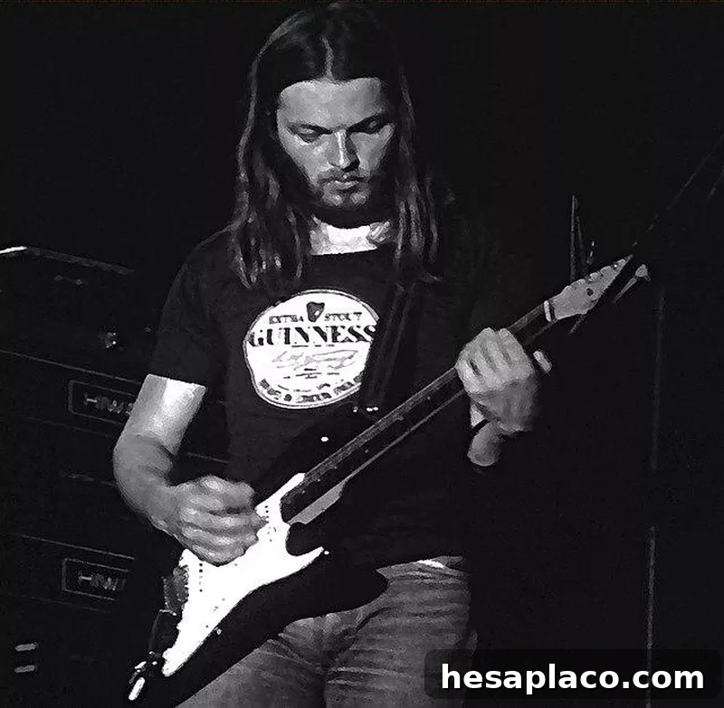 David Gilmour