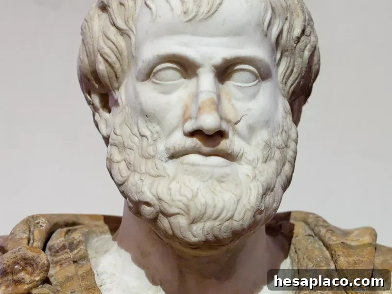 Bust of Aristotle