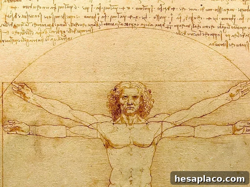 Leonardo da Vinci drawing