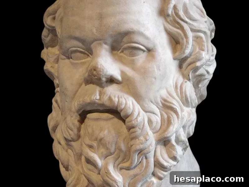 Socrates bust