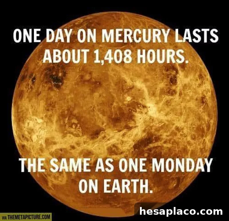 Space Monday Memes