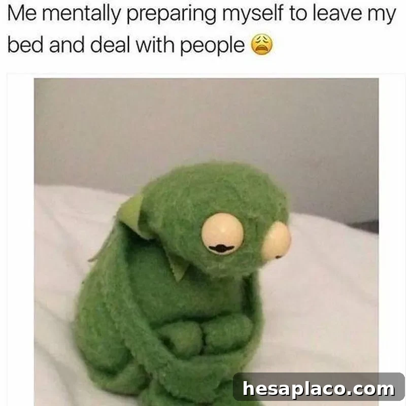 Kermit Monday Meme