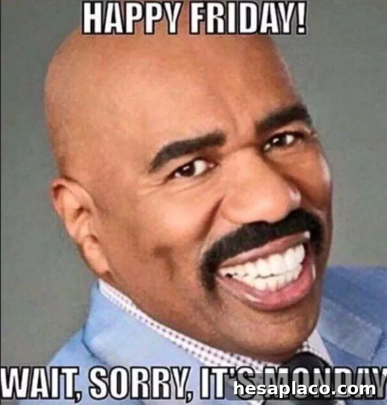 Friday Monday Meme