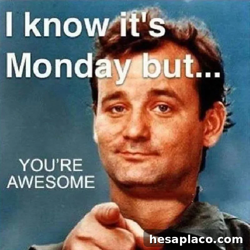 Bill Murray Monday Meme