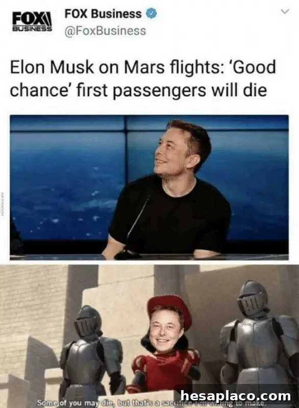 elon lord farquad