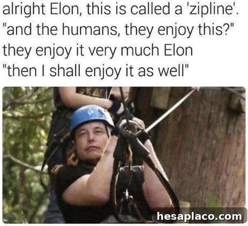 elon musk zipline