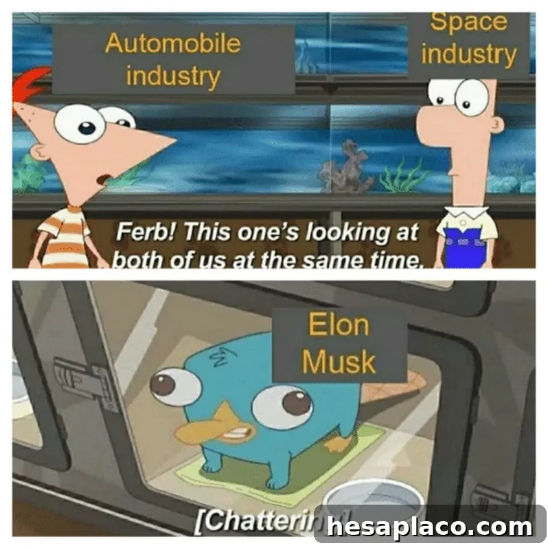 phineas and ferb