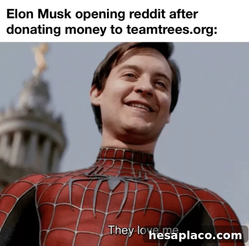 elon musk donating trees