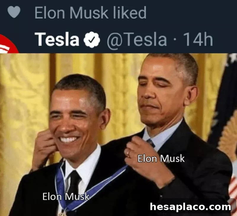 elon musk likes tesla tweet