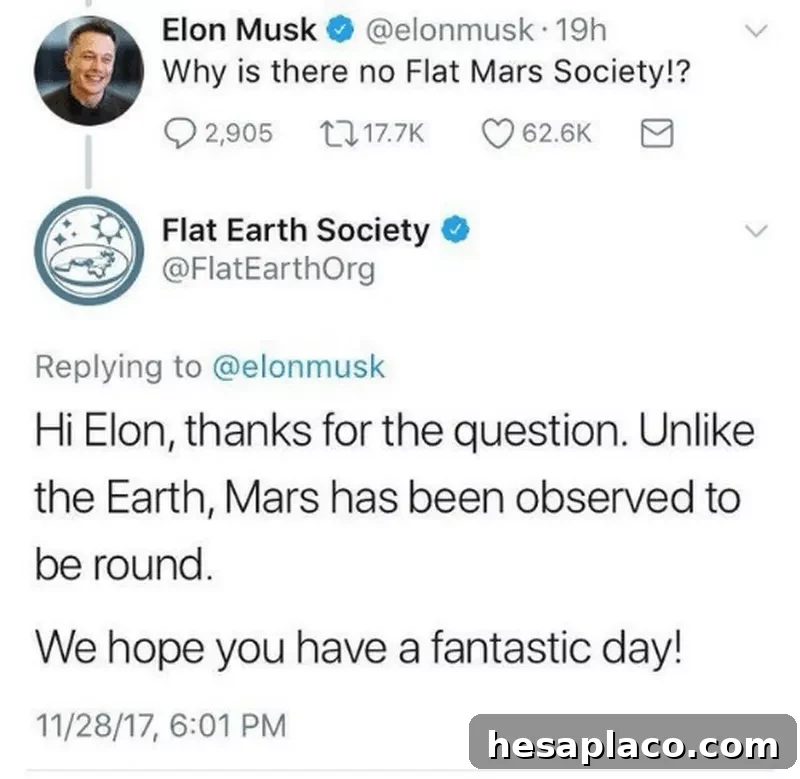 flat mars society