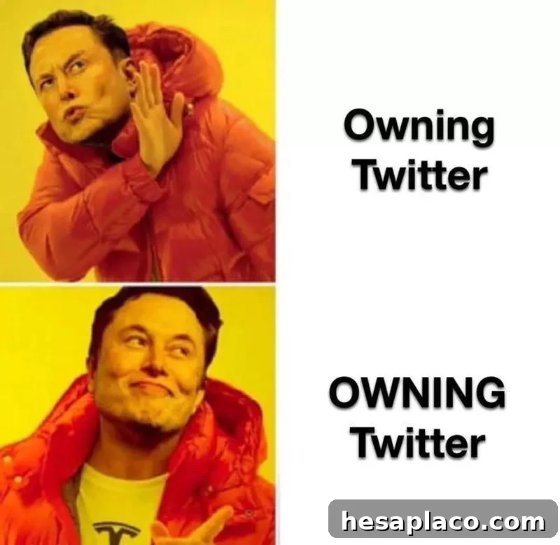 owning twitter