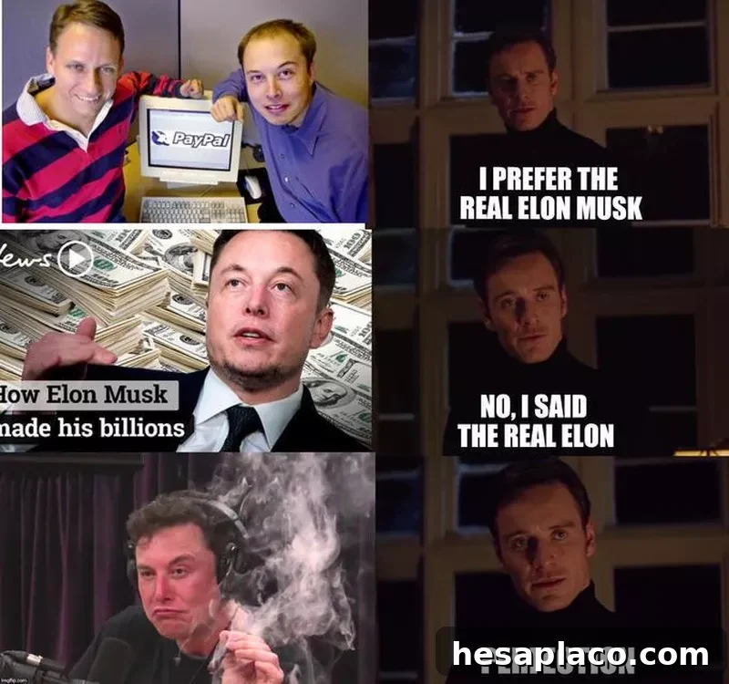 the real elon musk