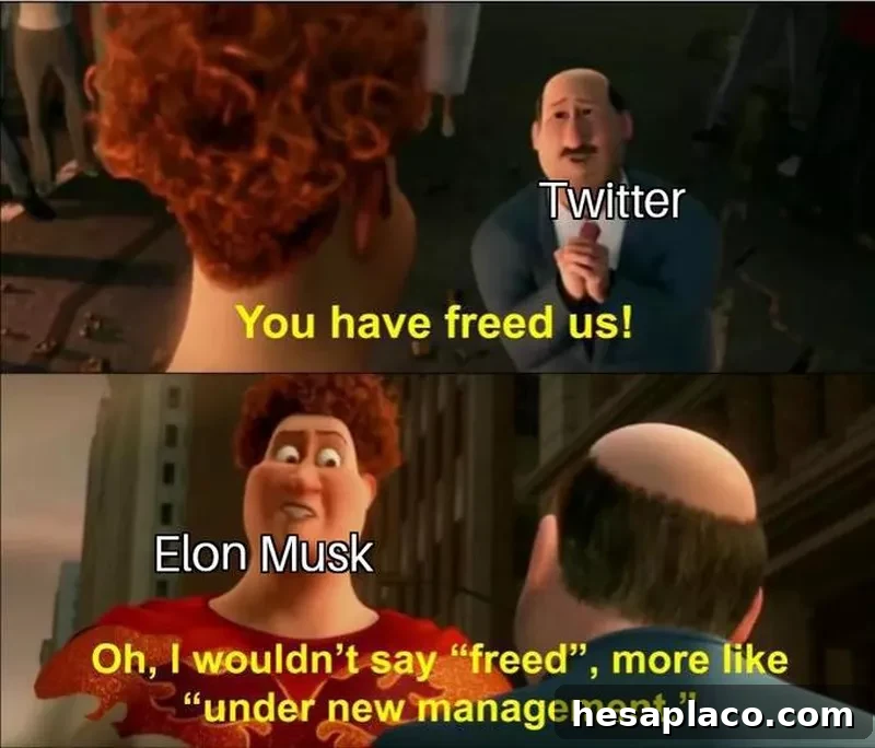 buying twitter