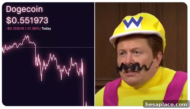 wario elon dogecoin reaction