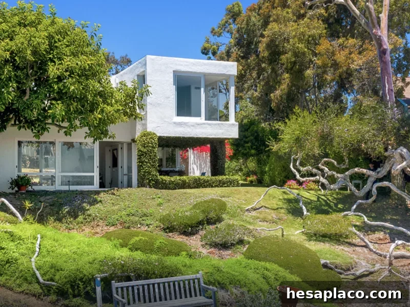 Backyard of James Olson's Malibu home