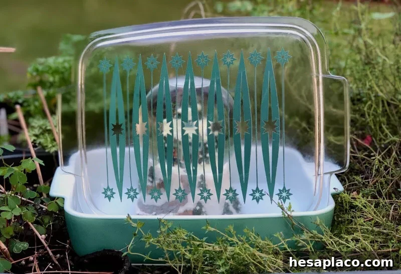 Heinz Lid And Baking Dish