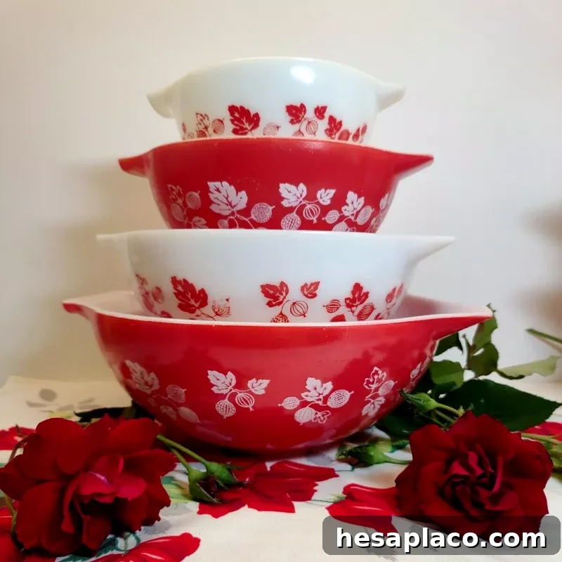 Gooseberry Cinderella Bowl Set