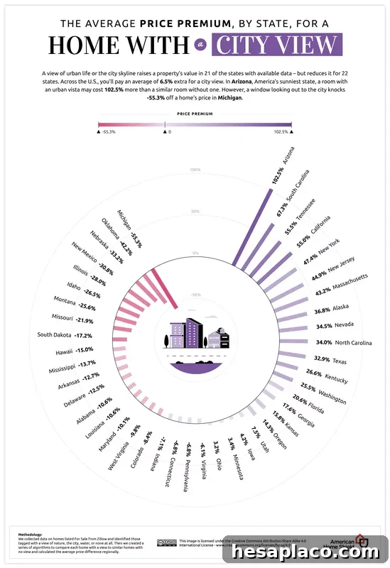 Circle graph of the value of homes with a city view by state