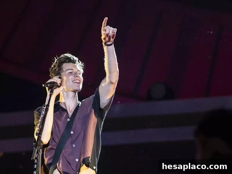Shawn Mendes