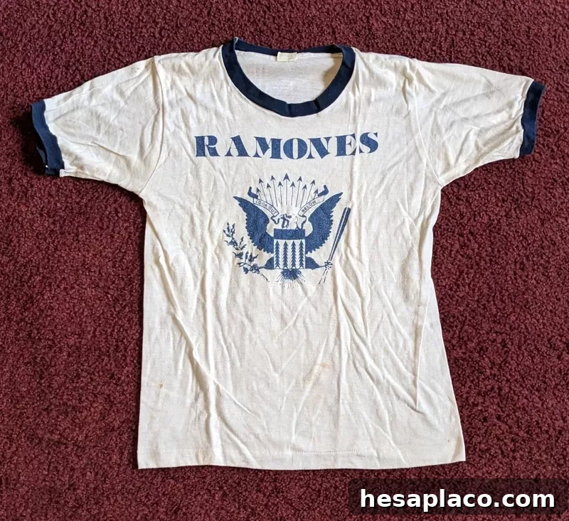 Vintage Ramones Band T-Shirt