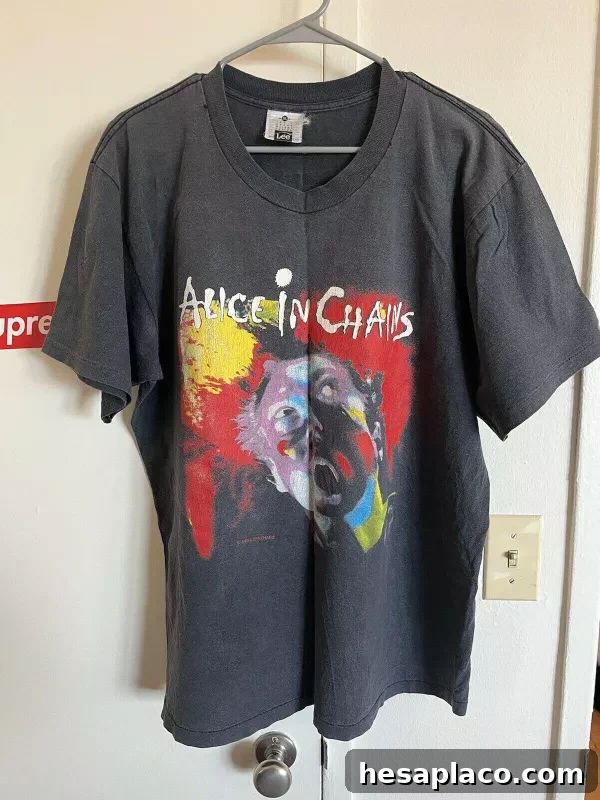 1990 Alice In Chains Facelift Tour Tee