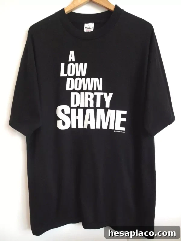 A Low Down Dirty Shame T-Shirt