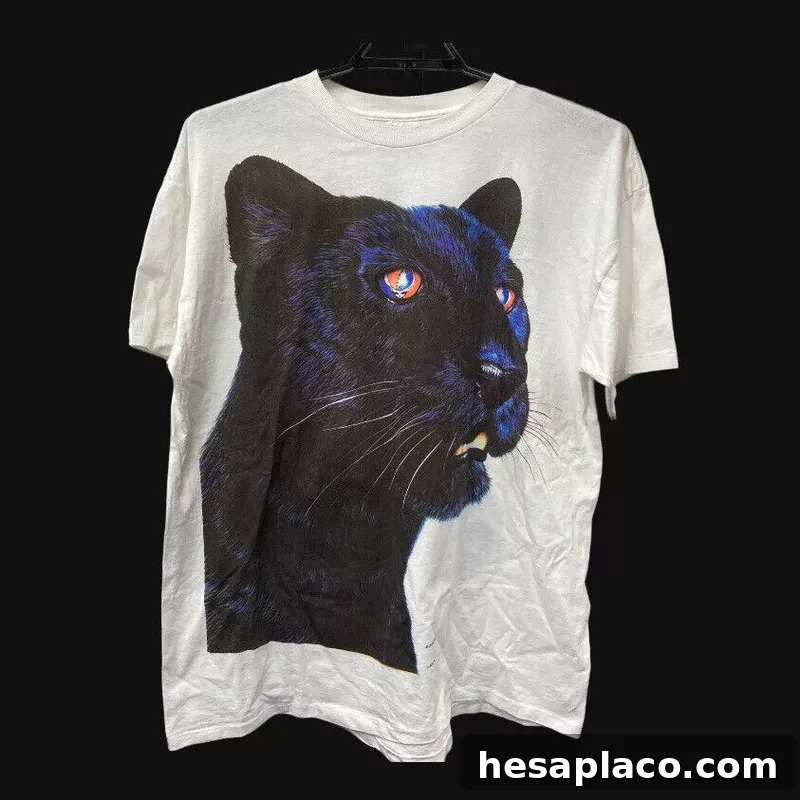 Vintage 1994 NFA Grateful Dead Panther Band Tee