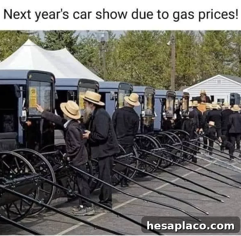 Amish wagons