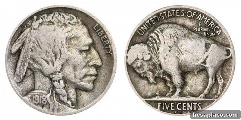 1918 D Buffalo Nickel