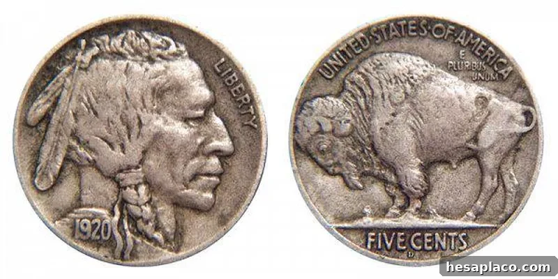 1920 D Buffalo Nickel