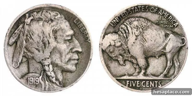 1919 D Buffalo Nickel