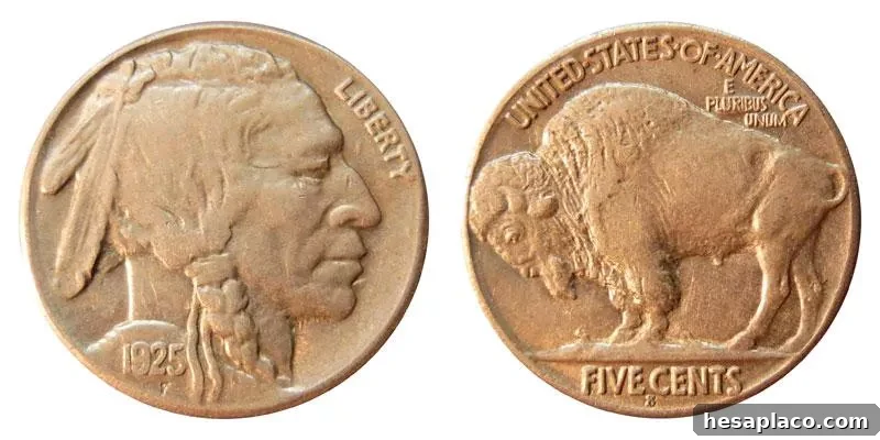 1925 S Buffalo Nickel