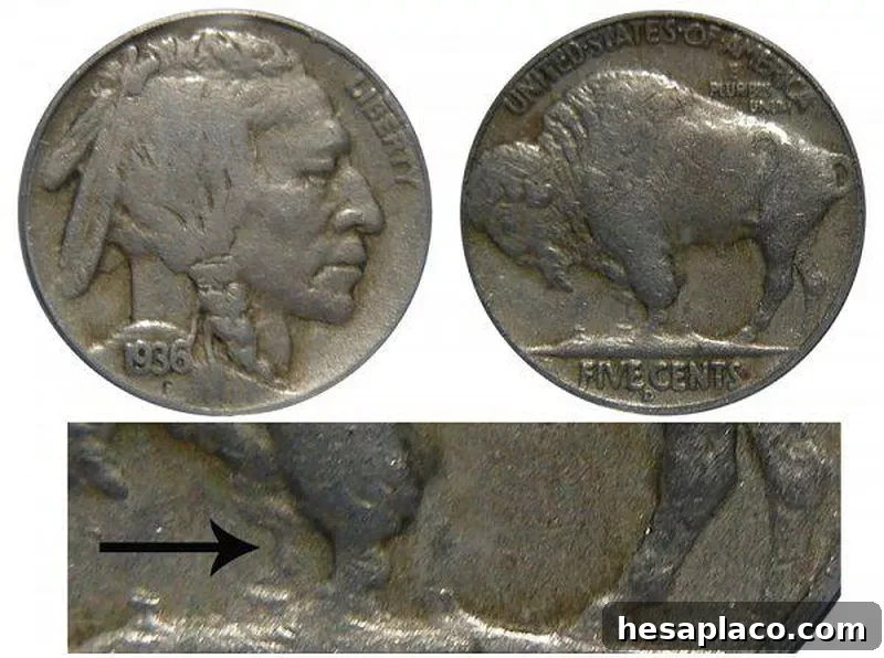 1936 D 3 and a Half Legs Buffalo Nickel