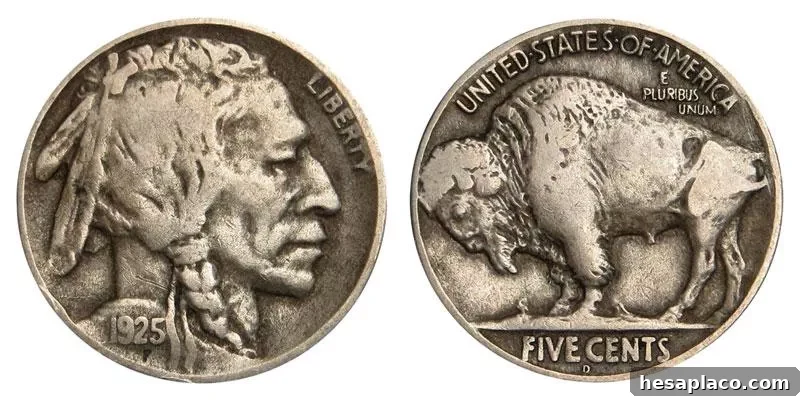 1925 D Buffalo Nickel